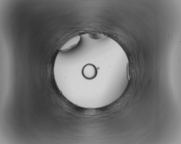 X0000111350231200907310958