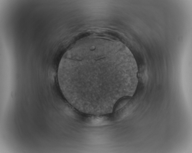 X0000111350235200907310958