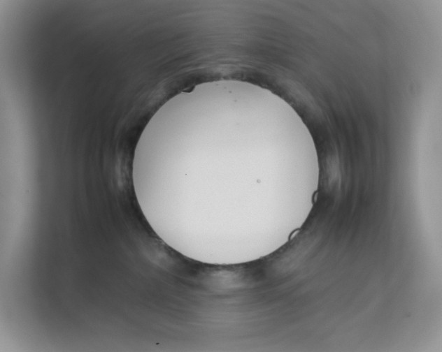 X0000111350236200907310958