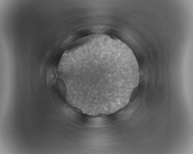 X0000111350237200907310958