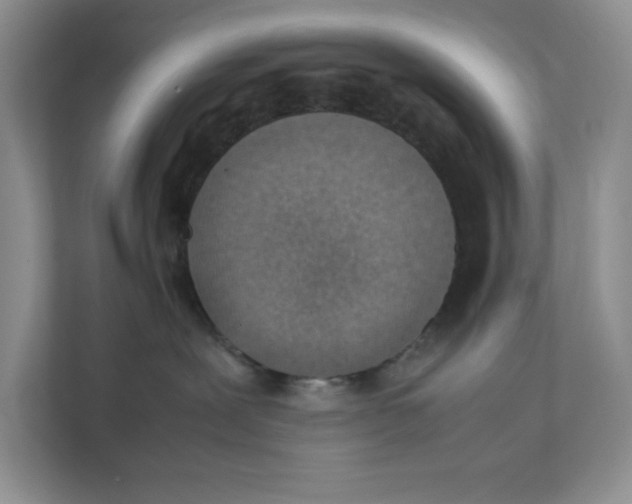 X0000111350239200907310958