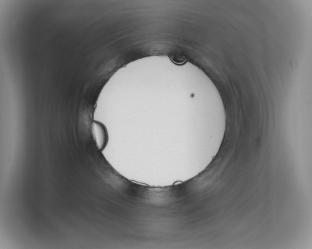 X0000111350240200907310958