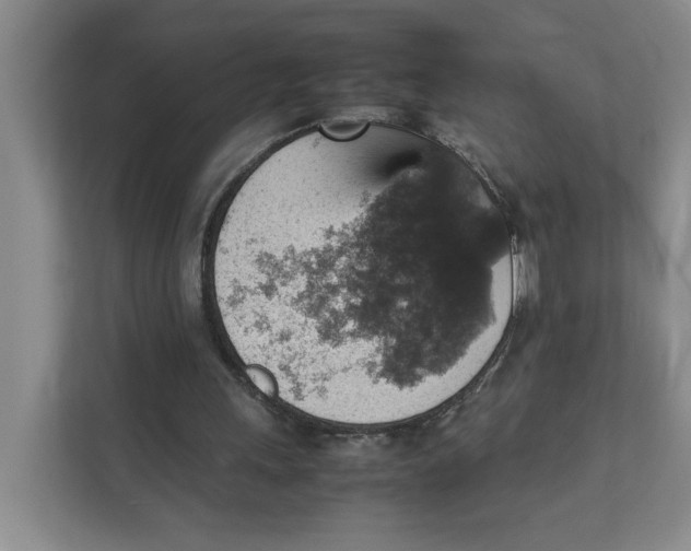 X0000111350243200907310958