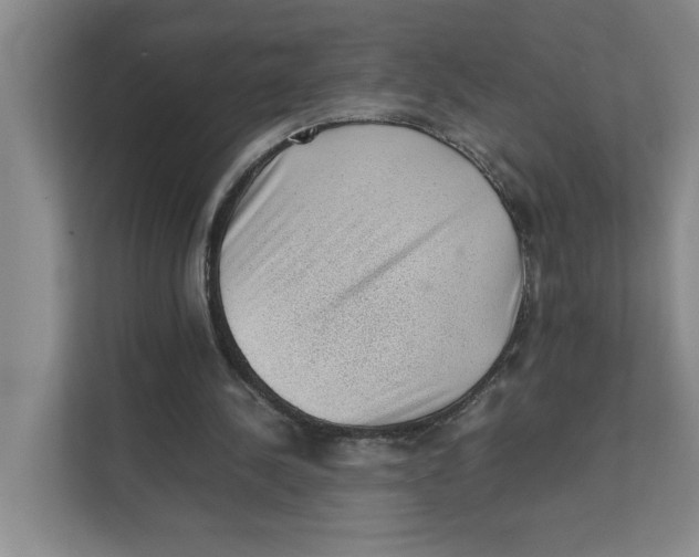 X0000111350244200907310958