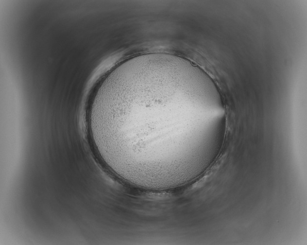 X0000111350245200907310958