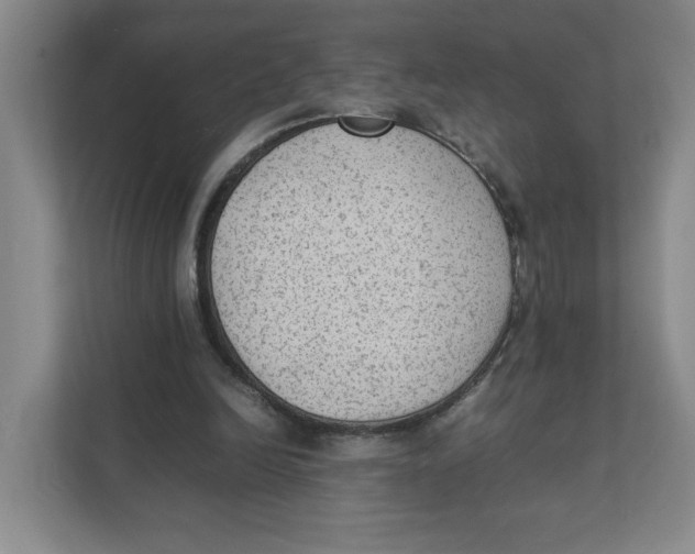 X0000111350246200907310958