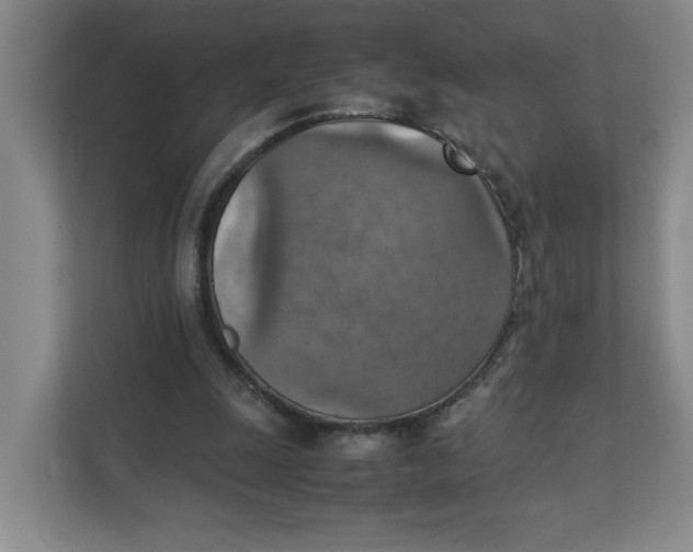 X0000111350247200907310958