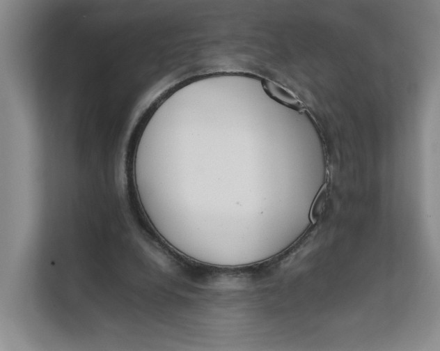 X0000111350248200907310958