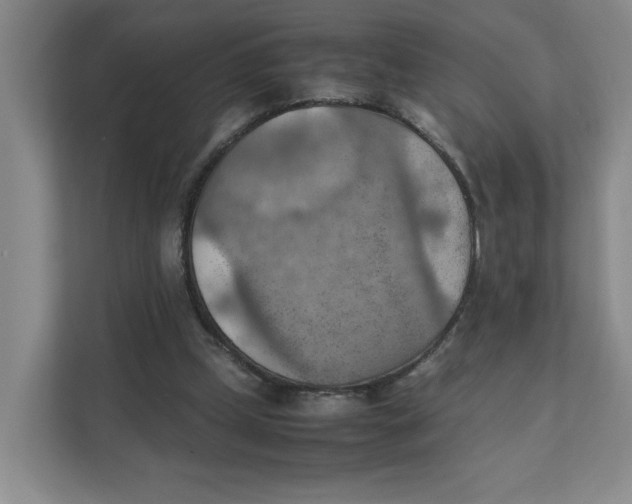 X0000111350249200907310958