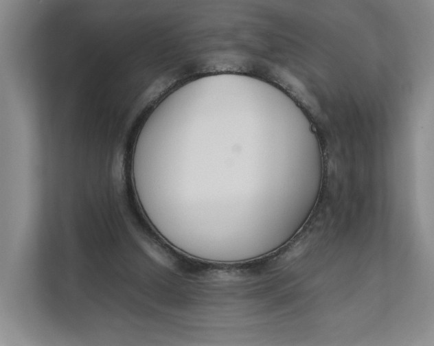 X0000111350250200907310958