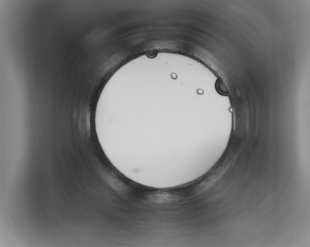 X0000111350253200907310958