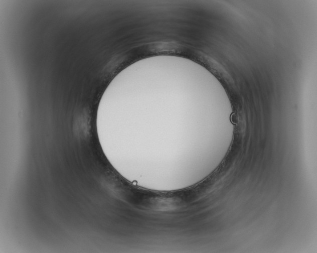 X0000111350255200907310958