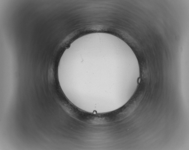 X0000111350256200907310958