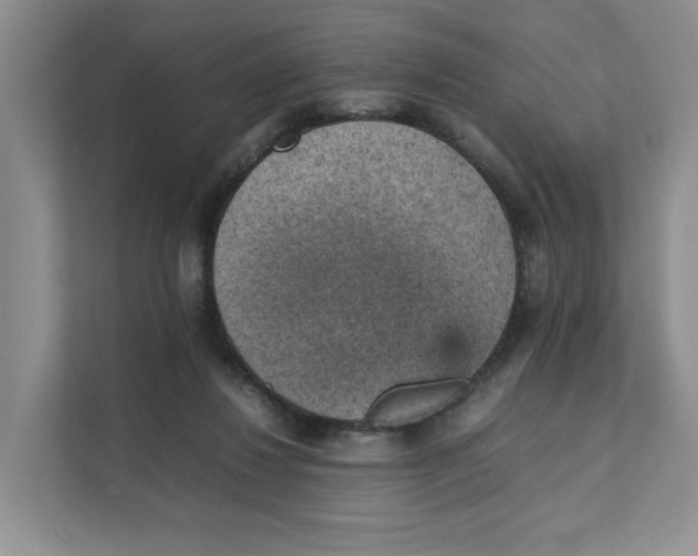 X0000111350260200907310958