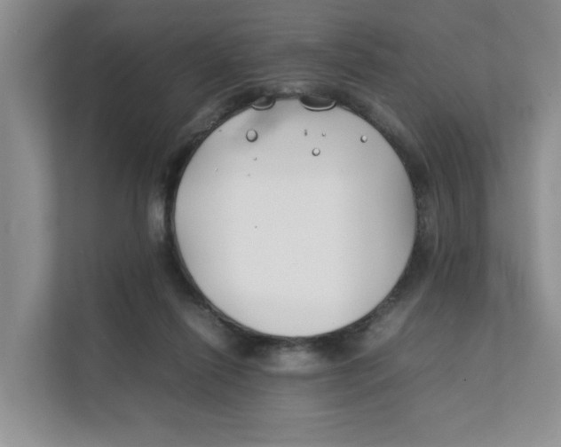 X0000111350262200907310958