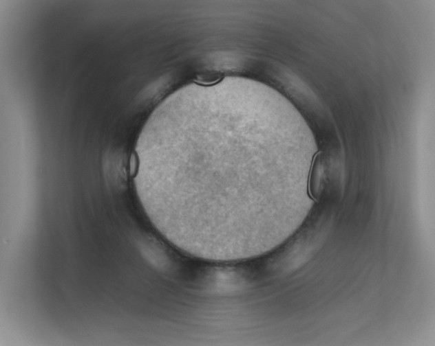 X0000111350264200907310958