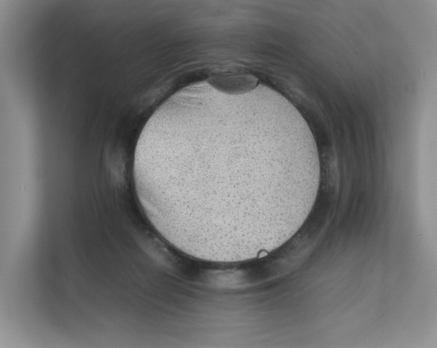 X0000111350266200907310958