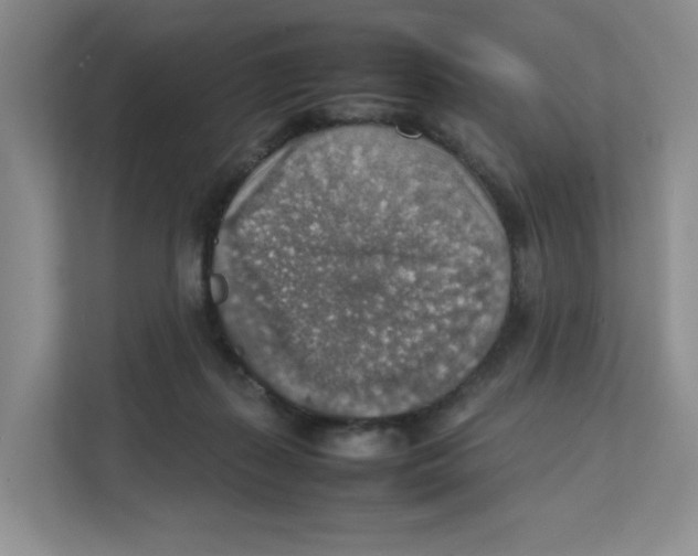 X0000111350267200907310958