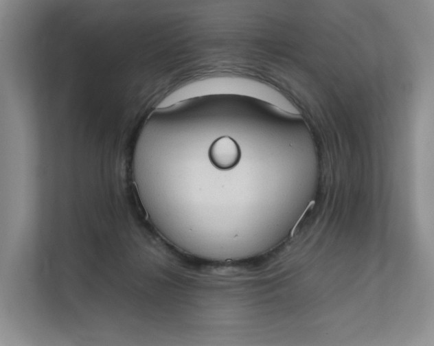 X0000111350268200907310958