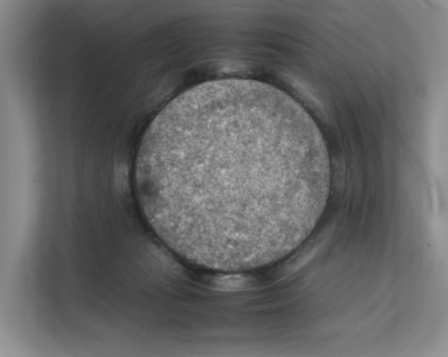 X0000111350269200907310958