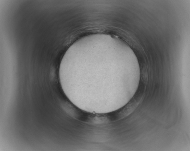 X0000111350270200907310958