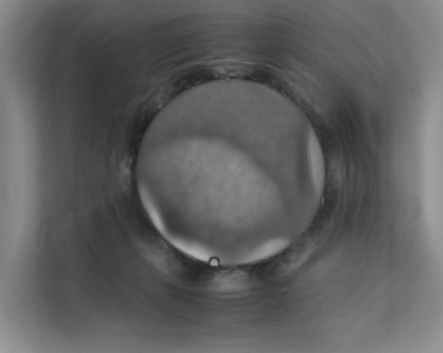 X0000111350271200907310958