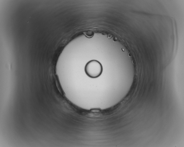 X0000111350272200907310958