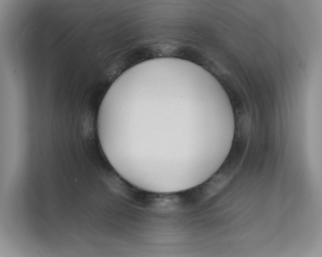 X0000111350274200907310958