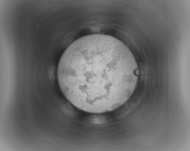 X0000111350275200907310958