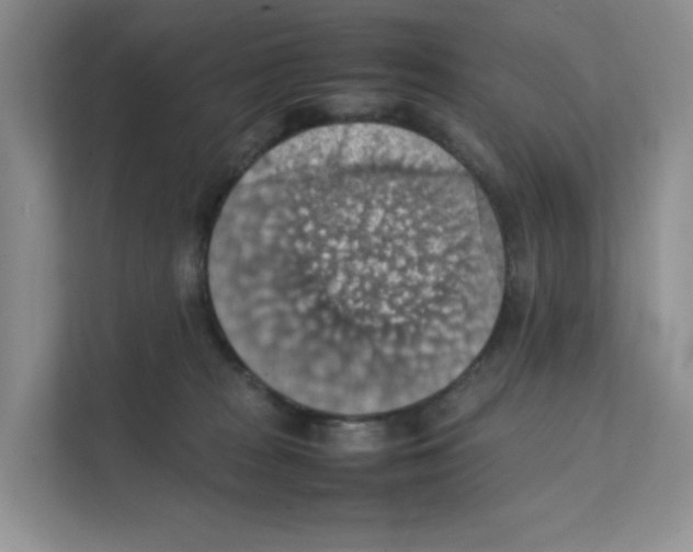 X0000111350277200907310958