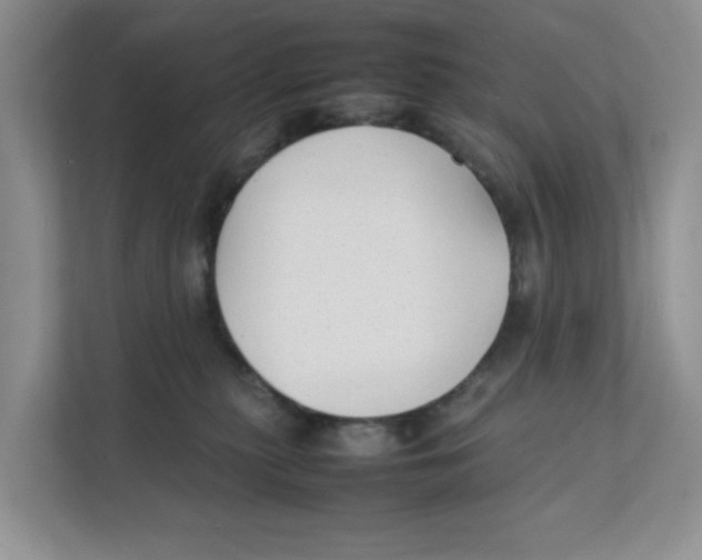 X0000111350279200907310958