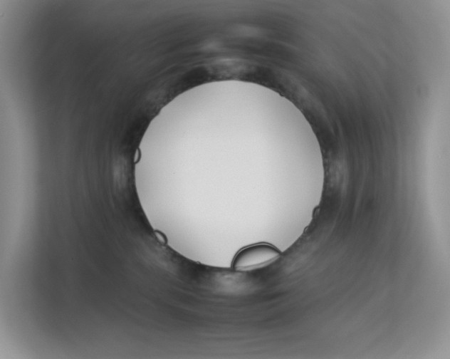 X0000111350283200907310958