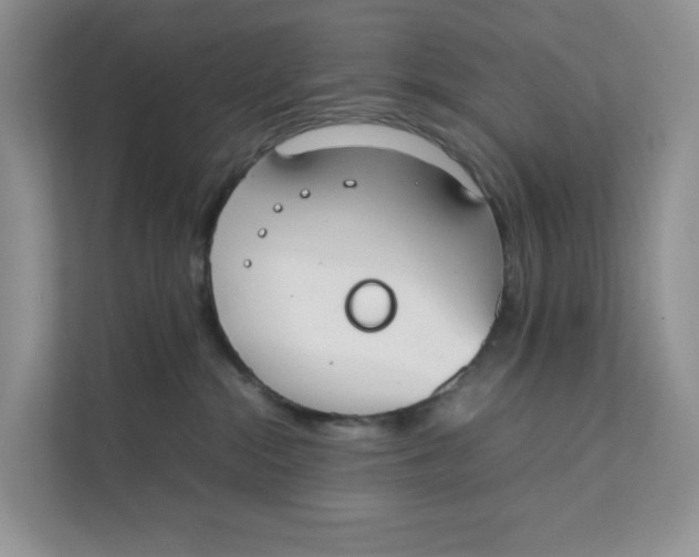 X0000111350284200907310958