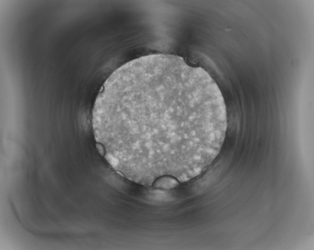 X0000111350285200907310958