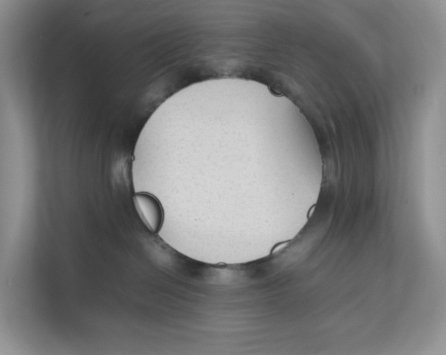 X0000111350286200907310958