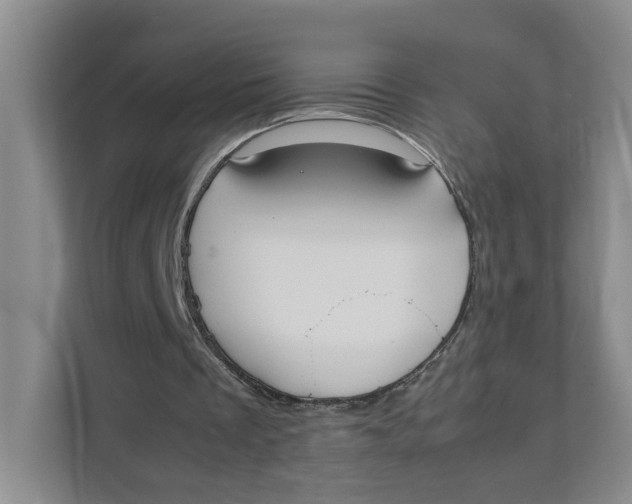 X0000111350289200907310957