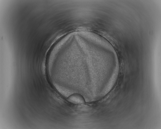 X0000111350290200907310957