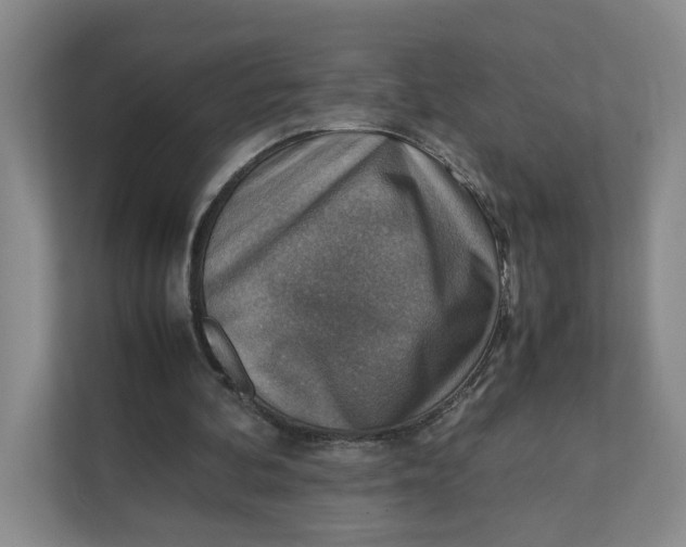 X0000111350292200907310957