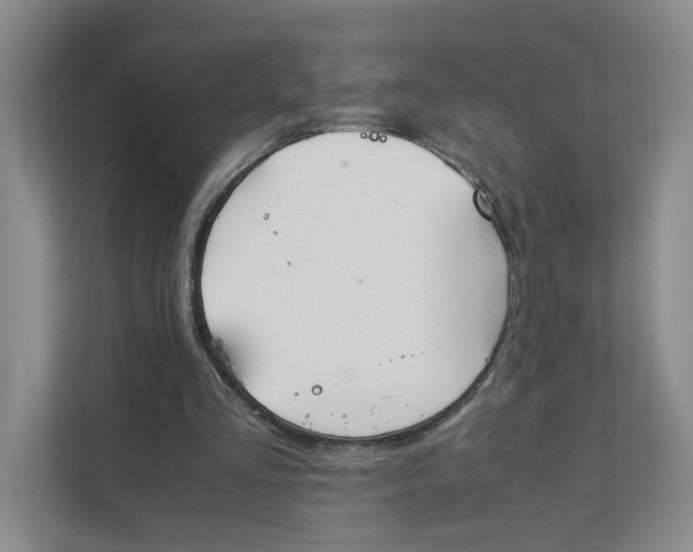 X0000111350293200907310957