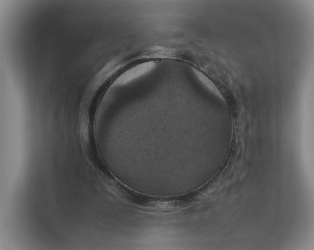 X0000111350295200907310957