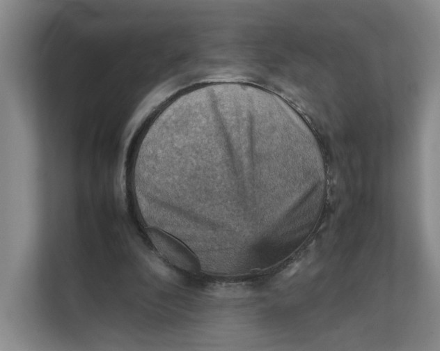 X0000111350296200907310957