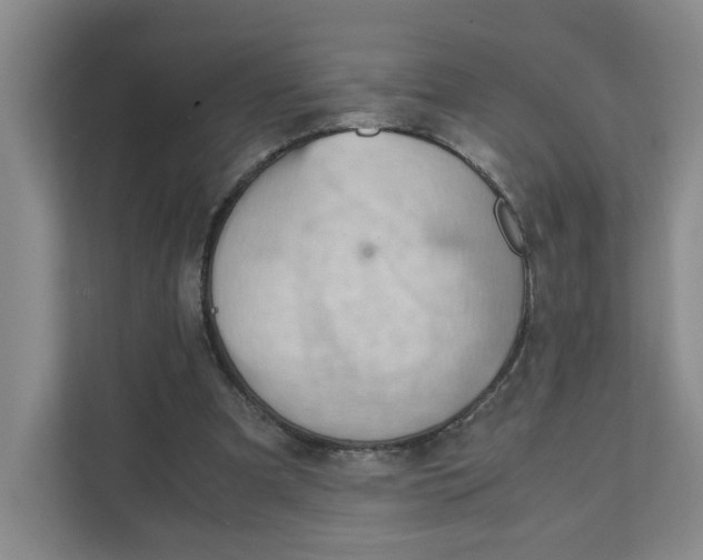 X0000111350297200907310957