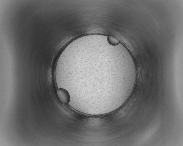 X0000111350298200907310957