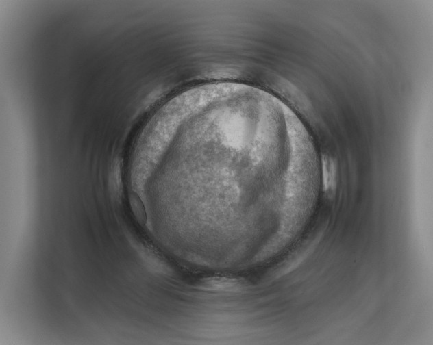 X0000111350300200907310957