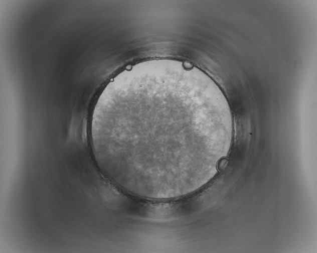 X0000111350301200907310957