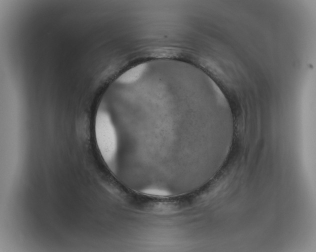 X0000111350303200907310957