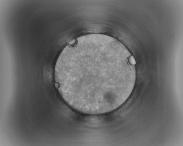 X0000111350305200907310957