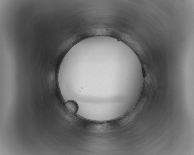 X0000111350306200907310957