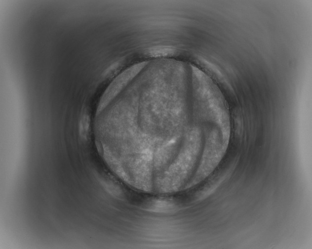 X0000111350308200907310957