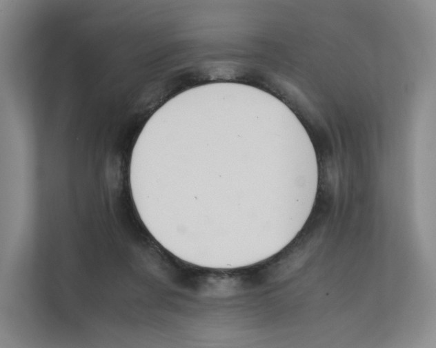 X0000111350311200907310957